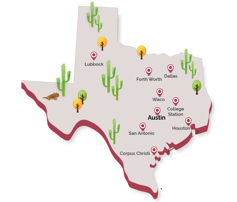 Descripción de la imagen